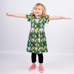 Motion's mekko