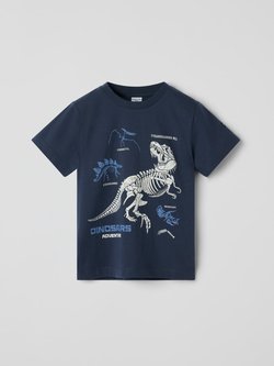 T-paita dinosaurukset