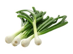 Sipulinippu