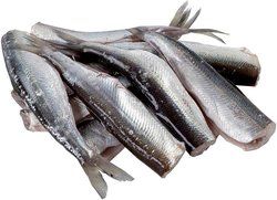 Hätälä Muikku perattu n10kg