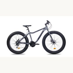 Insera Muffle 26" 21-v fatbike