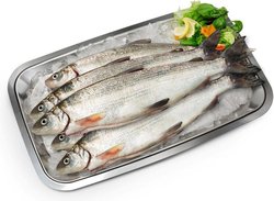 Finnish Freshfish Siika 2 villi