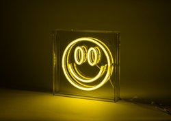 Fuj:tech Neon Smiley neon valaisin
