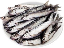 Finnish Freshfish Muikku keskikoko