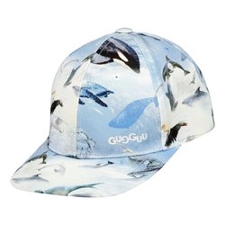 Print Classic Cap