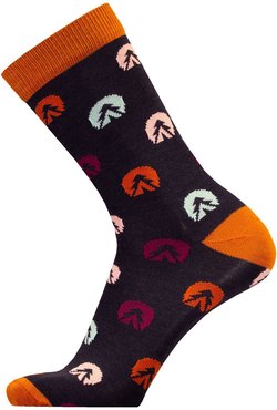 Merino Everyday
