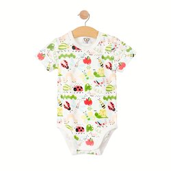 Nalle body