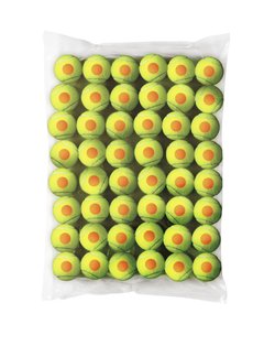 Wilson Starter Orange -tennispallo, 48 kpl