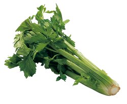 Lehtiselleri 400g 1lk