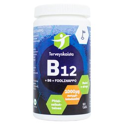 Terveyskaista B12+B6+Foolihappo pitkävaikutteinen 90 tabl
